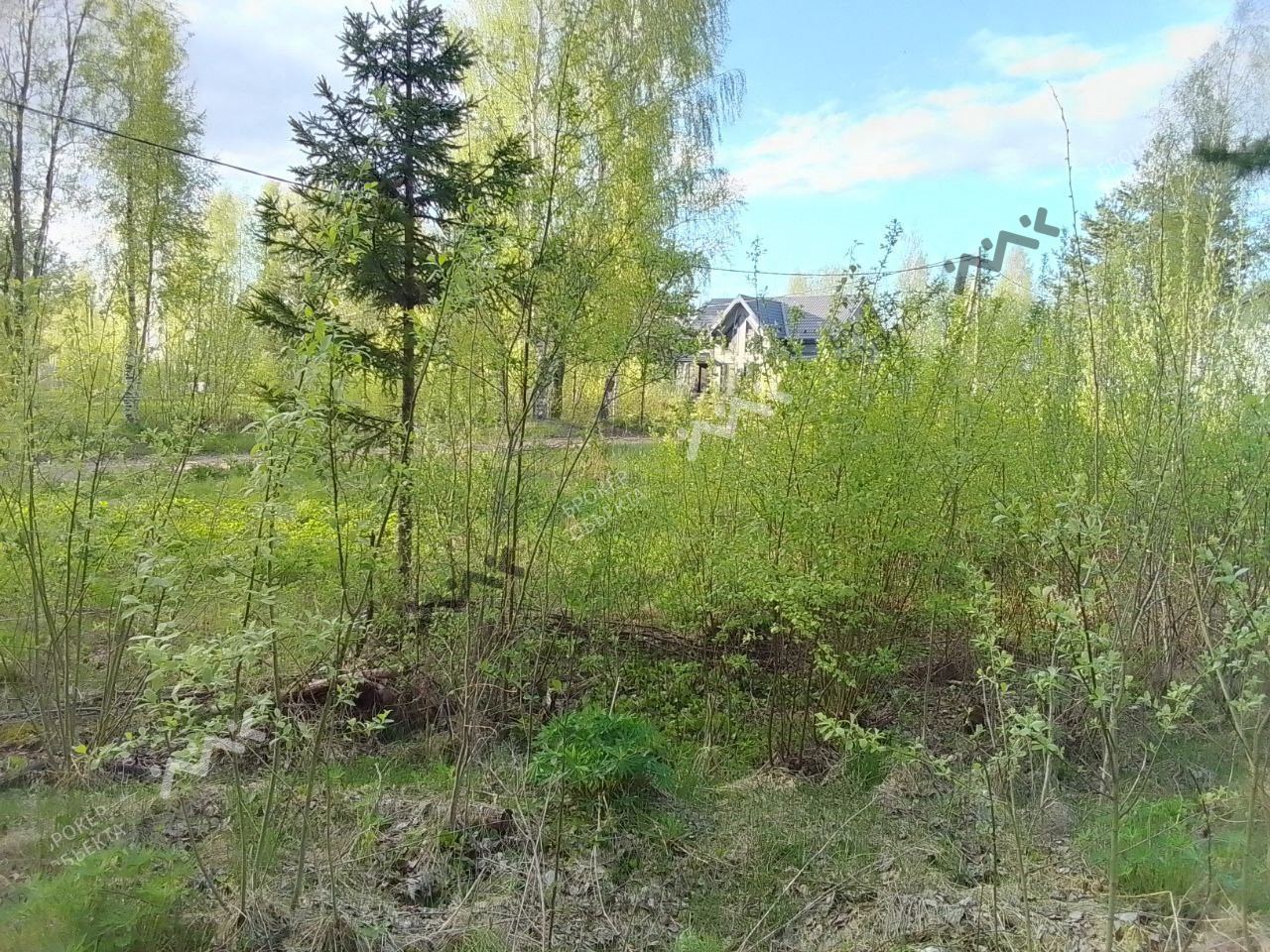 Фото объекта