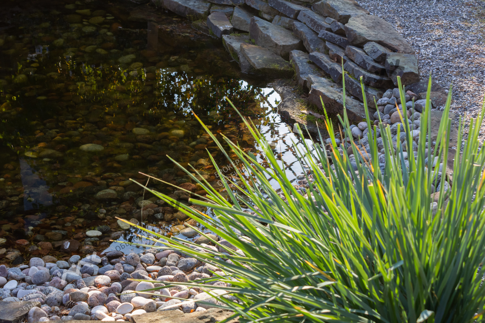 Фото объекта